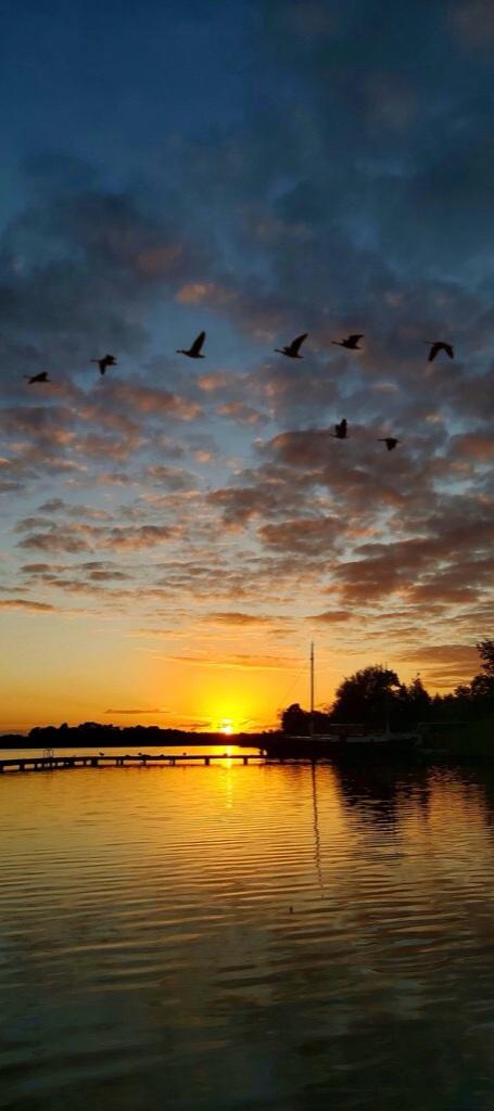 #Leekstermeer #Zonsondergang #Hothothot #15Sep2020
<a href="/helgavanleur/">Helga van Leur ☀</a> <a href="/WNLVandaag/">WNL Vandaag</a> <a href="/BuienRadarNL/">Buienradar</a> @Mooieluchten @Rtvnoord @Dvhn_nl