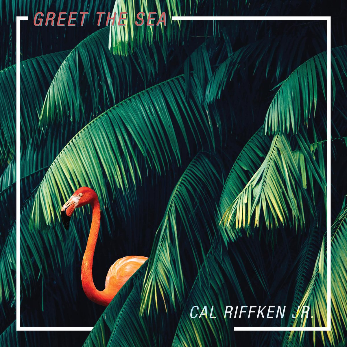 🦩 Surprise! 🦩 New single “Cal Riffken Jr.” available this Friday on all streaming platforms. 

Subscribe to our mailing list at greetthesea.com to get it early.