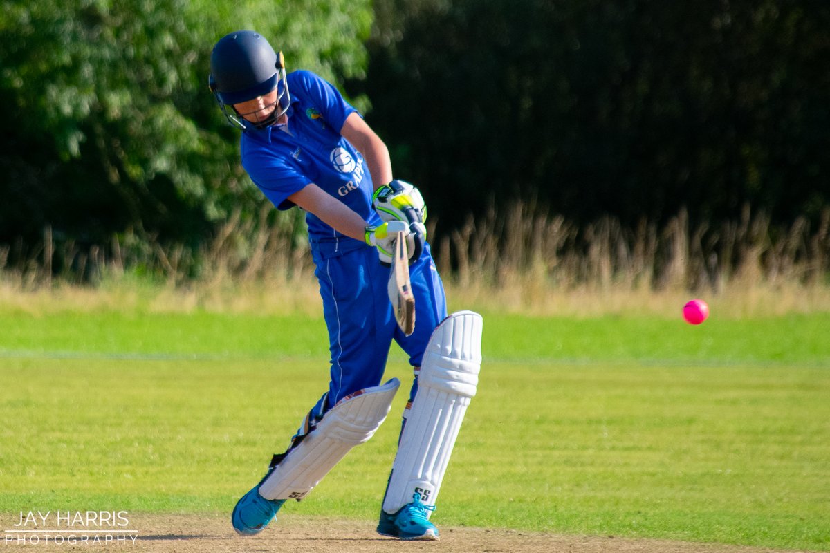 JayHarrisPhotography tweet media