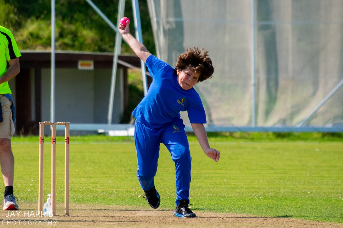 JayHarrisPhotography tweet media