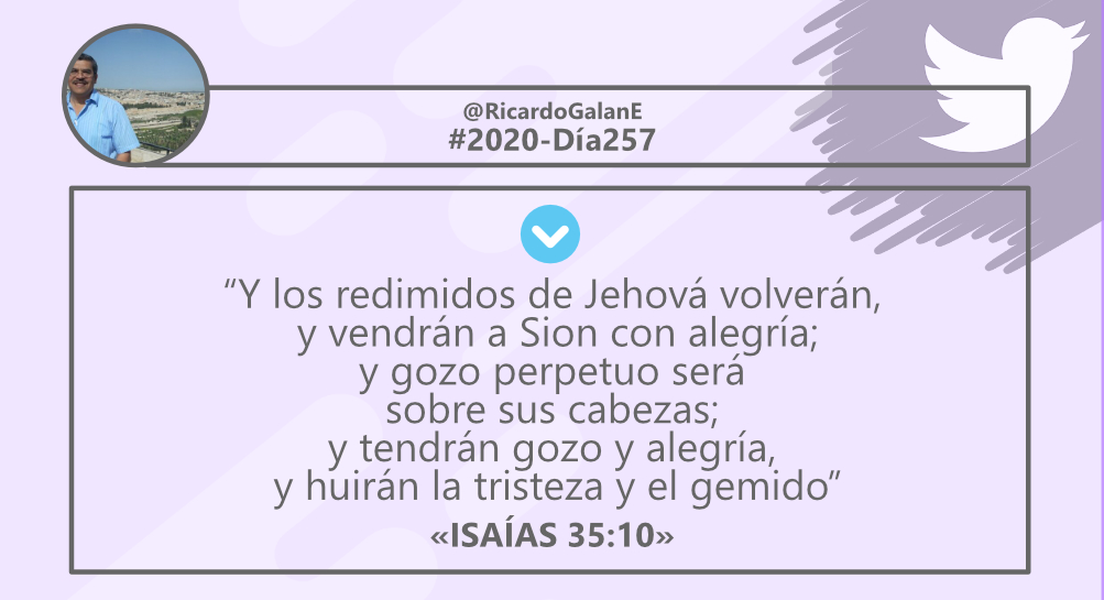 iglesjosueapopa's tweet photo. #COMPARTE
@RicardoGalanE
#Tweets2020-Día257 https://t.co/xyFLWInk3r