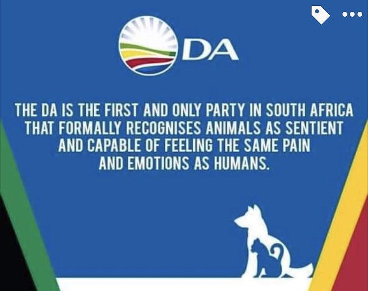 Eranu's tweet photo. @HelpourRhino @alanwinde In 2015 the @Our_DA cared ... to procure your vote! @helenzille @MayorDanPlato @jsteenhuisen @AimeeKuhl fulfil your mandate to animals ... to Kataza. Or, did you lie?! #BringKatazaBack
#WeCannotAccept
#BaboonsOfCapeTown
#StopKillingourBaboons
#CapeTownAKillerHolidayDestinatiom https://t.co/SKuUucUiEq