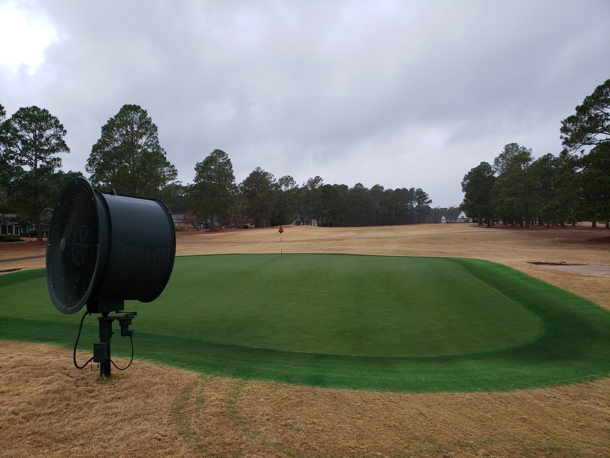 bluflash88's tweet photo. @geoponics #firsttimesacharm #flexyourturf #endurantturfproducts #paintisnewoverseed #liquidoverseed #collars #bentgrass #a1a4 https://t.co/BQ5PUeu2B5