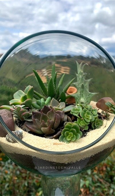 lauvlopez97's tweet photo. Hola a todos! Con mi familia retomamos este emprendimiento, vendemos jardines de suculentas, también invidiuales y al por mayor 🌸🌼 Estamos en redes sociales como @jardinesdemivalle https://t.co/NQf54qk7Q5
