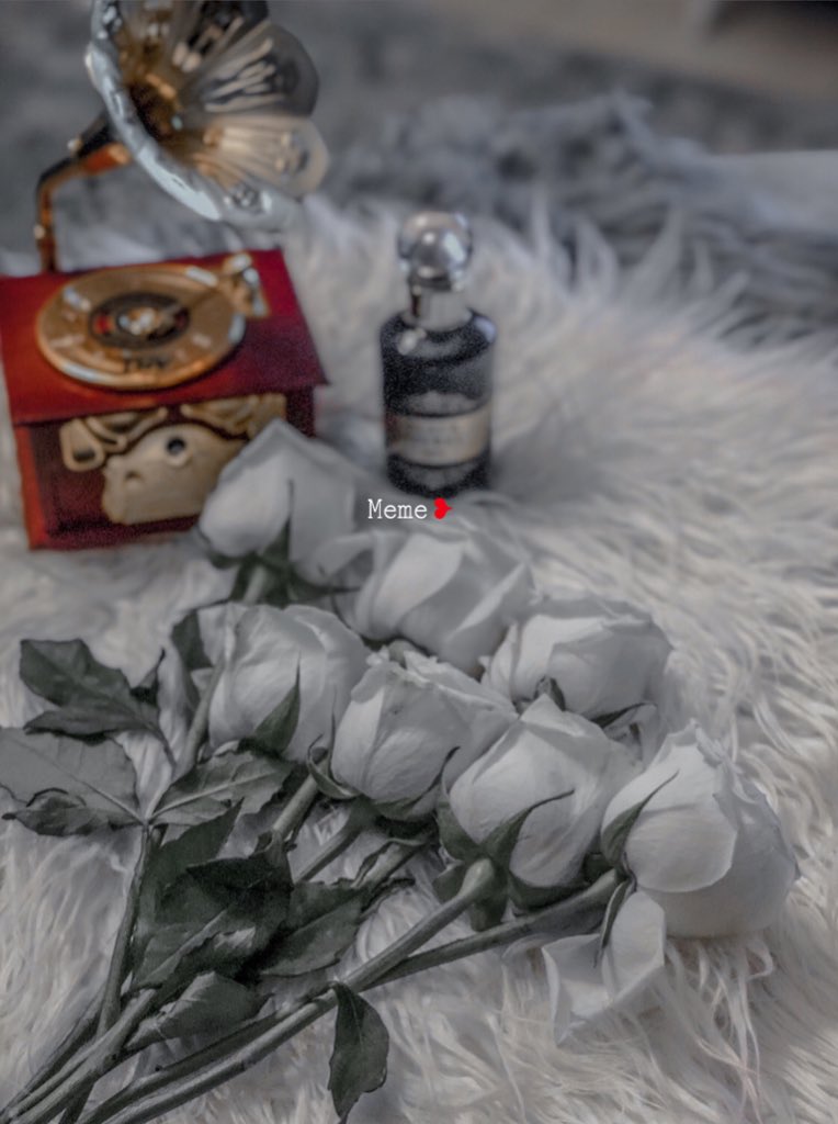 -

العطـر غربه و لحظات و شطر 
ﻵ خذيته ، ما خذيته حـبّ فيه !

تاخذه .. لـ إنك لا شميت العطر 
تتذكر أول شخص شمّيته عليه ♡