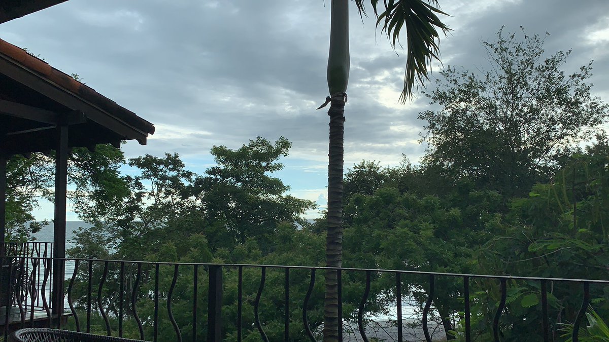 baldilon's tweet image. Un poco de aire