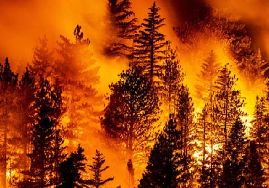 #NotiMippCI 📰🗞| 33 personas fallecidas es el saldo por incendios forestales en EEUU. Lea más ⏩ bit.ly/3mhPunc
