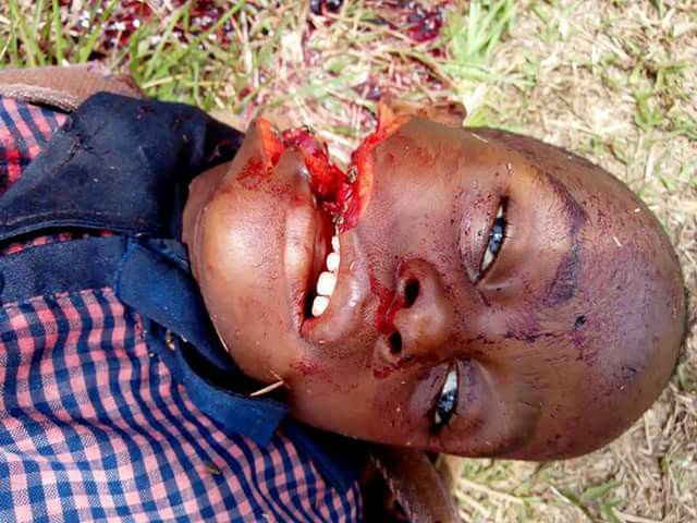 The vile rampaging Fulani terrorists MUST be STOPPED NOW BY ALL MEANS NECESSARY!
The fraudulent enterprise called 'Nigeria', the product of British terrorist state MUST urgently be DISSOLVED!
<a href="/realDonaldTrump/">Donald J. Trump</a> <a href="/UN/">United Nations</a> <a href="/coe/">Council of Europe</a> <a href="/_AfricanUnion/">African Union</a> <a href="/GOP/">GOP</a> <a href="/HouseGOP/">House Republicans</a> @WHLive <a href="/UKParliament/">UK Parliament</a> <a href="/EFF/">EFF</a> <a href="/FT/">Financial Times</a>
