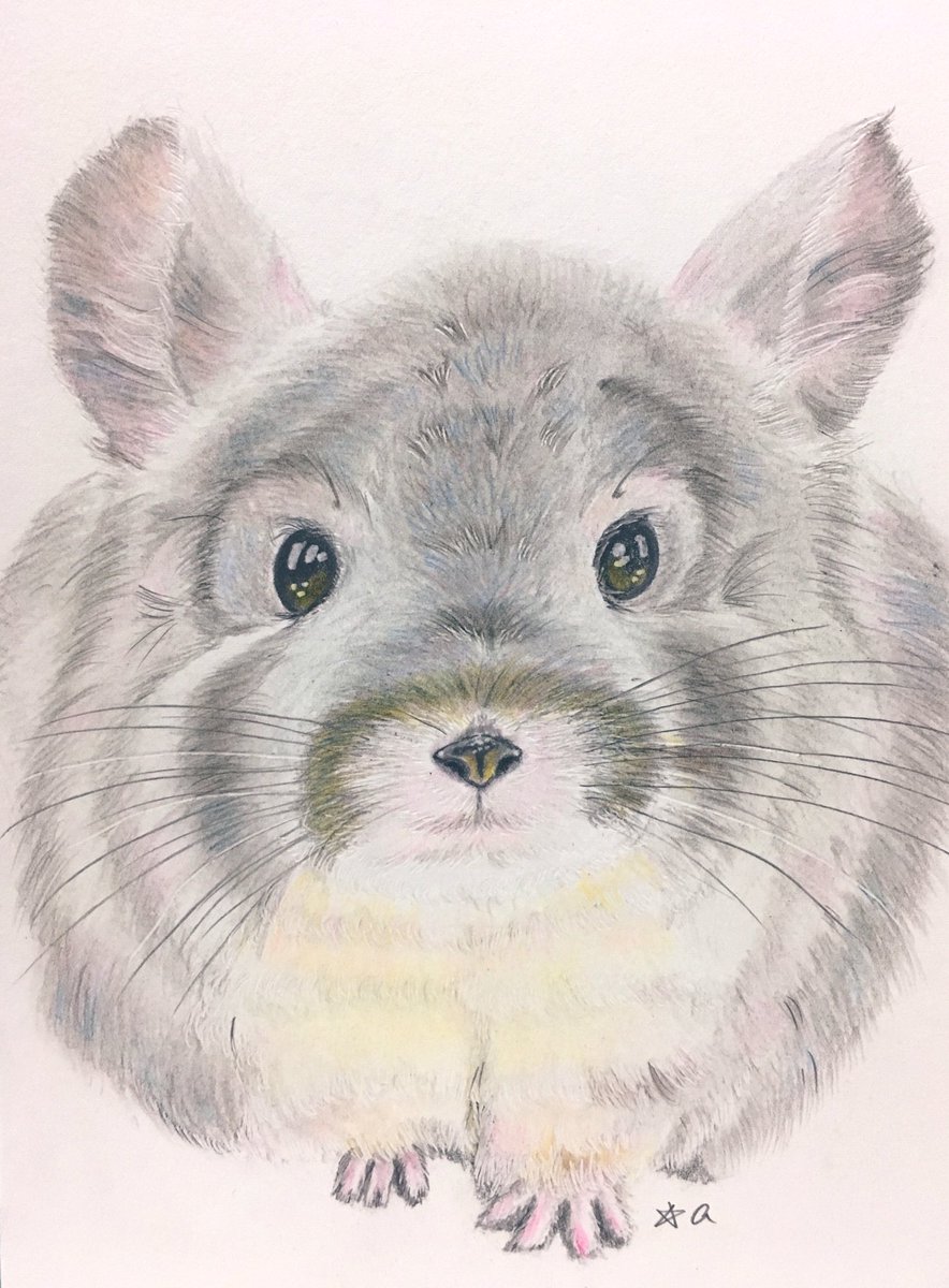 BettyBo21448179's tweet photo. ✩#お絵描き

✩#色鉛筆画✩#模写

✩#チンチラ

だいぶ前にも描いただろう( ˙꒳​˙ )ｳﾝ!!¨̮⑅*

仕草がたまらない(  ´͈ ᵕ `͈ )♡

ふっわふわのモコモコっ
｡ﾟ .ʚ(✿´⌣`✿)ɞ. ﾟ。 https://t.co/JlTfen24sg