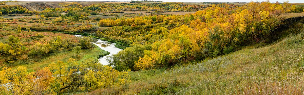 DJHardwired's tweet photo. Colours of Fall at Wascana Trails at 9:56am CST on September 13th, 2020. #ShareYourWeather #YQRam just north west of #Regina #Saskatchewan https://t.co/NlodIba7Yw