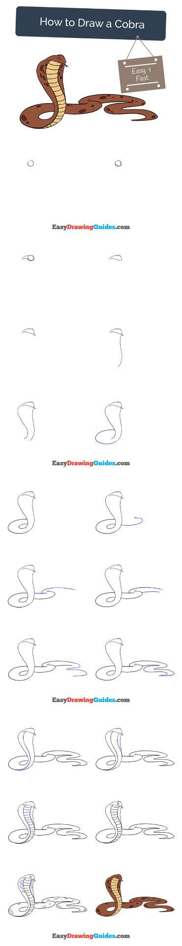 Cobra Online Tutorial