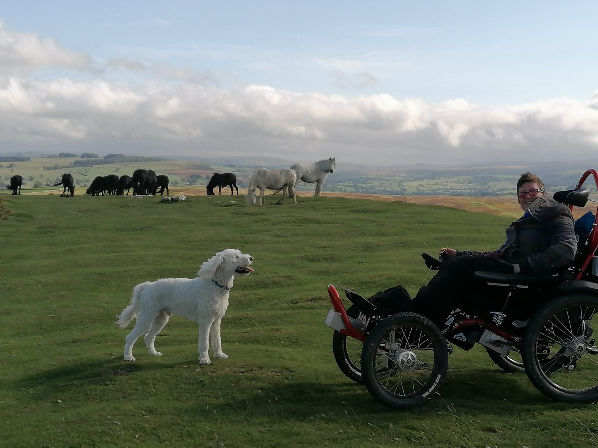 FreedomWizardUK's tweet photo. Brilliant day out above Ullswater with @Esther_Leighton and the sight of the beautiful fell ponies.
#accessible #wheelchair #lakedistrict #boma7 https://t.co/FzpFUiNIVq