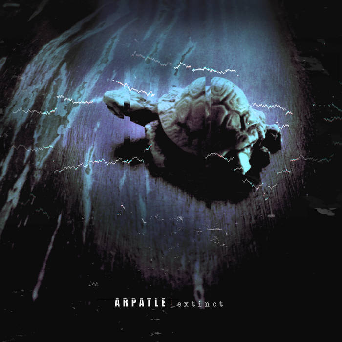 AmbientRadio - MRG.fm tweet media