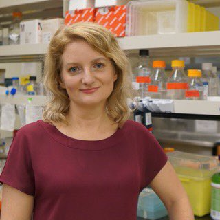 scisection's tweet photo. 💙Dr. Jennifer Gommerman, Canada Research Chair in Tissue Specific Immunity Associate Chair, discusses her journey to #immununology, her research, and tips for getting undergrads into #research in a new #interview with Sci Section 
💛 Now available on global podcast platforms. https://t.co/RrjxdZOwbQ