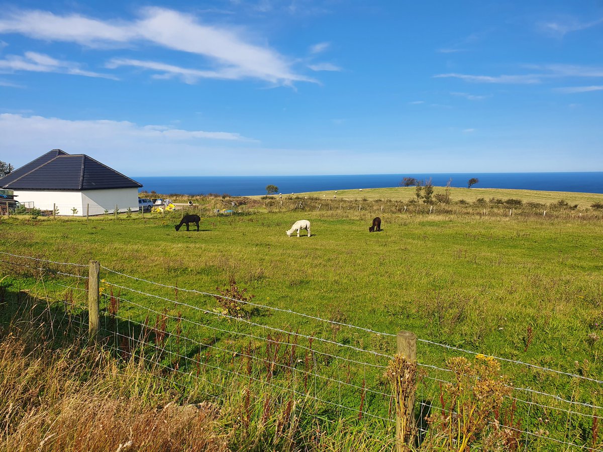 The original settlement was known as Peak (or Old Peak), pretty much a small farming hamlet.