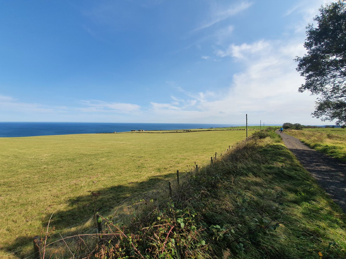 The area became industrialised in the 17th century, as alum - for dyes in the textile industry was extracted from the shale that's prevalent in the area. By the 18th century the Peak Alum Works was a huge operation.