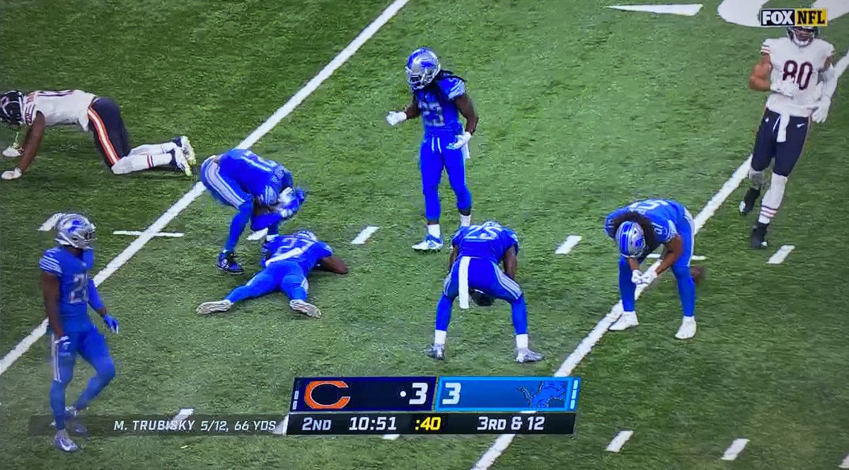 lions football in one picture