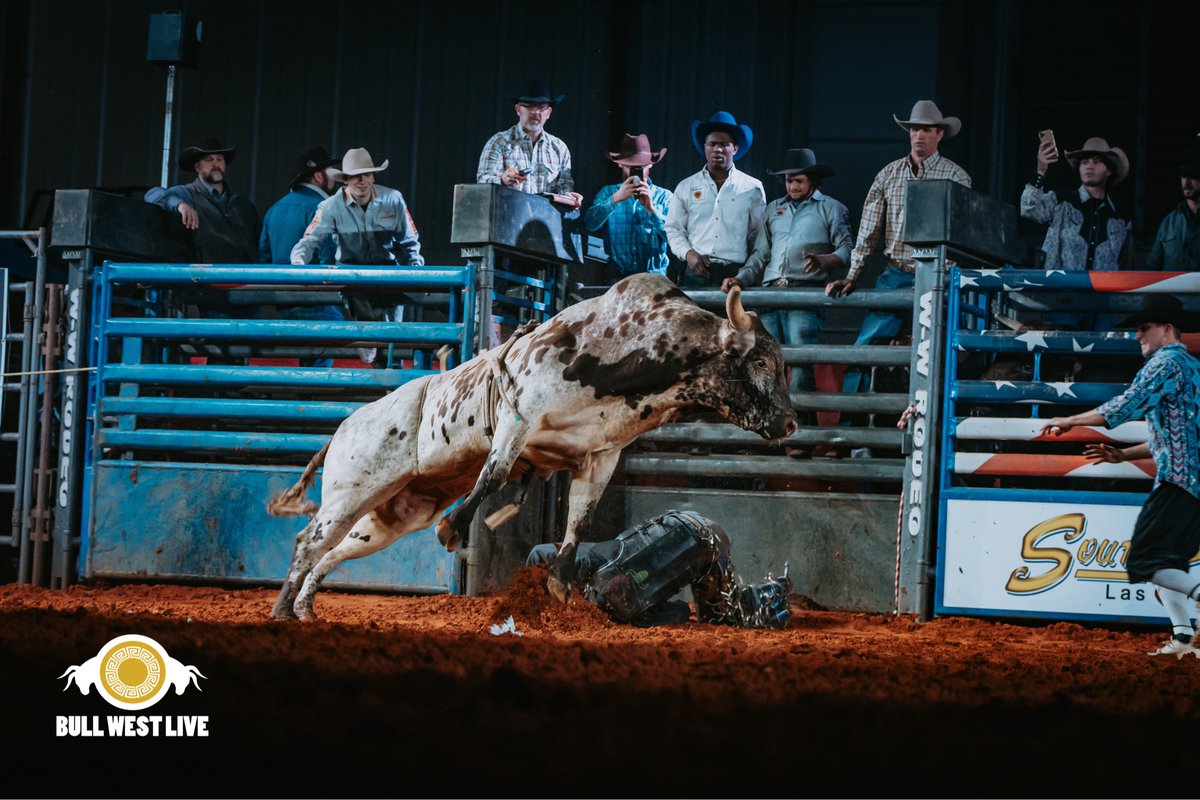 502 Hedgehog is a rank son-of-a-gun.

Frenzel Bucking Bulls