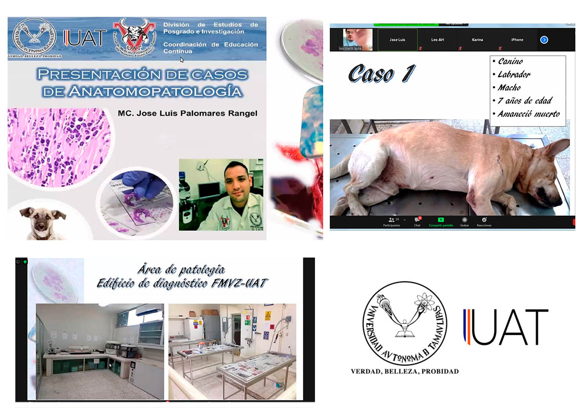 PrensaUAT tweet media