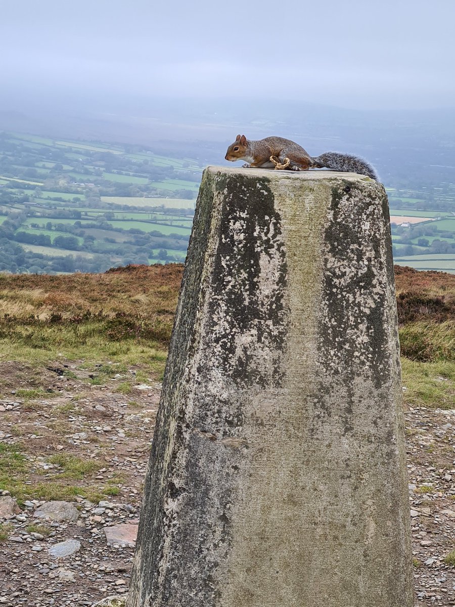 Rhys_Davies10's tweet photo. Cracking pic taken on top of frenni fawr this morning #preselimountains https://t.co/raaeWw4vEt