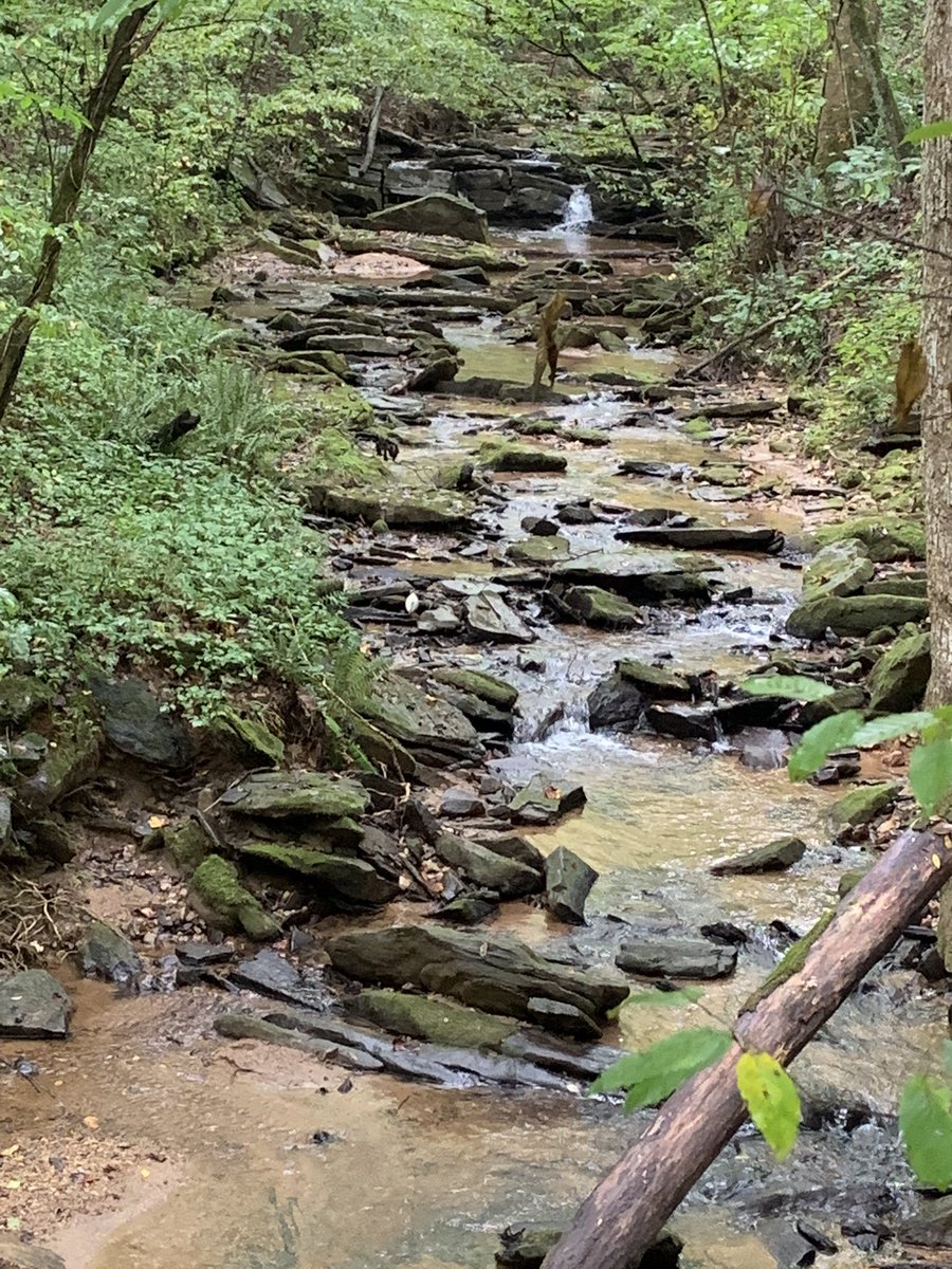 BButynski's tweet image. A morning walk, stumbling upon this sweet little creek...