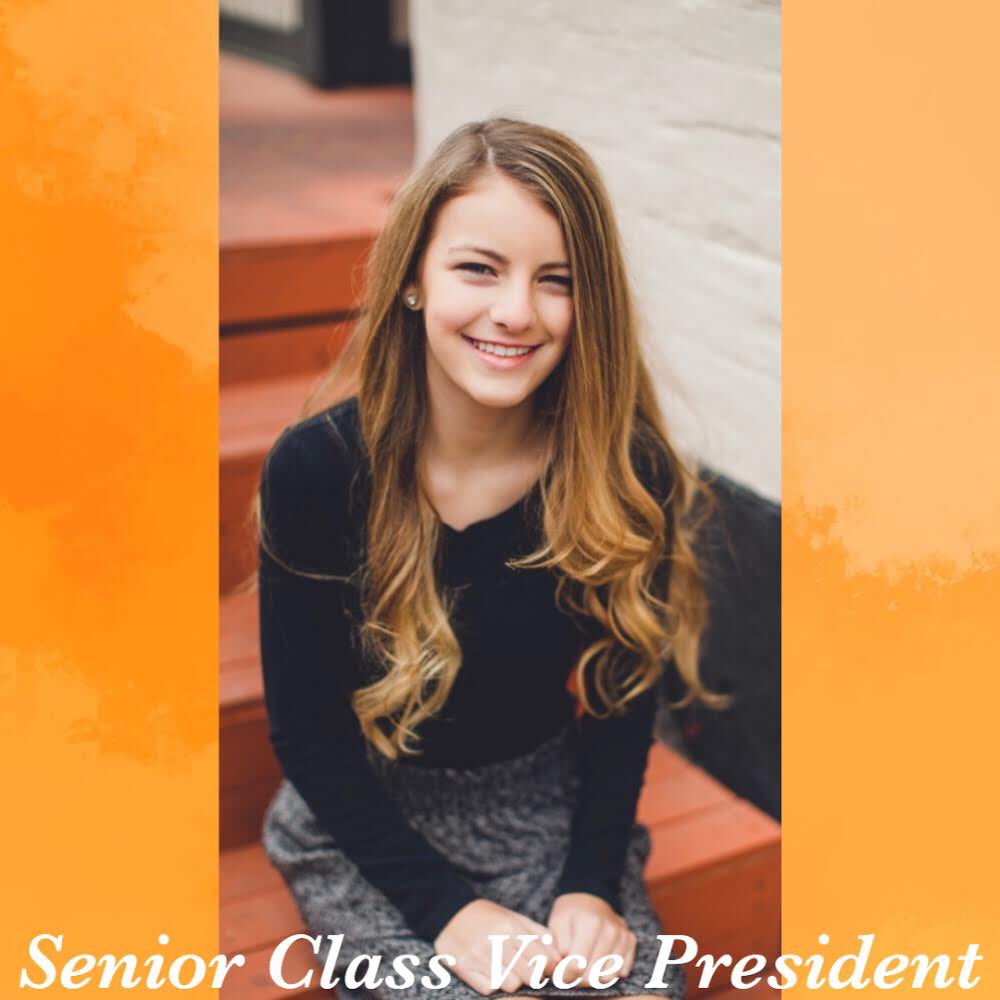 MEET THE SENIOR BOARD! 

Mia Gersitz: Senior Class Vice President! 🐾🧡
This is Mia’s 4th year in Student Council. She is also a dedicated member of the MNHS art program and NHS!