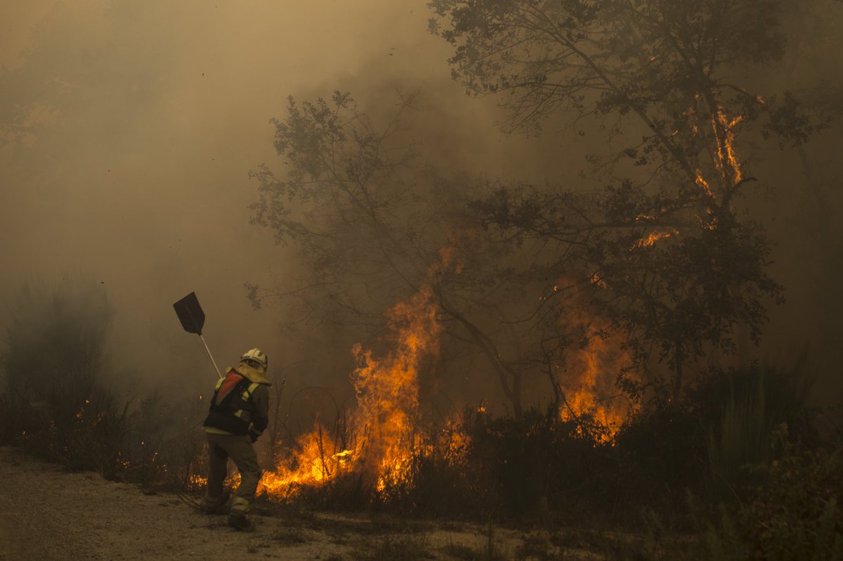 BenitoGrande's tweet photo. Non hai ano que Ourense se queime! Hai que actuar xa! #NuncaMaisLume  @brais_lorenzo: Ourense queimándose polos catro costados. A impotencia de ver arder a túa terra no inferno todos os anos e que nada mude.

#ardeourense #ardegalicia #queimangalicia https://t.co/CKutCcoaKE