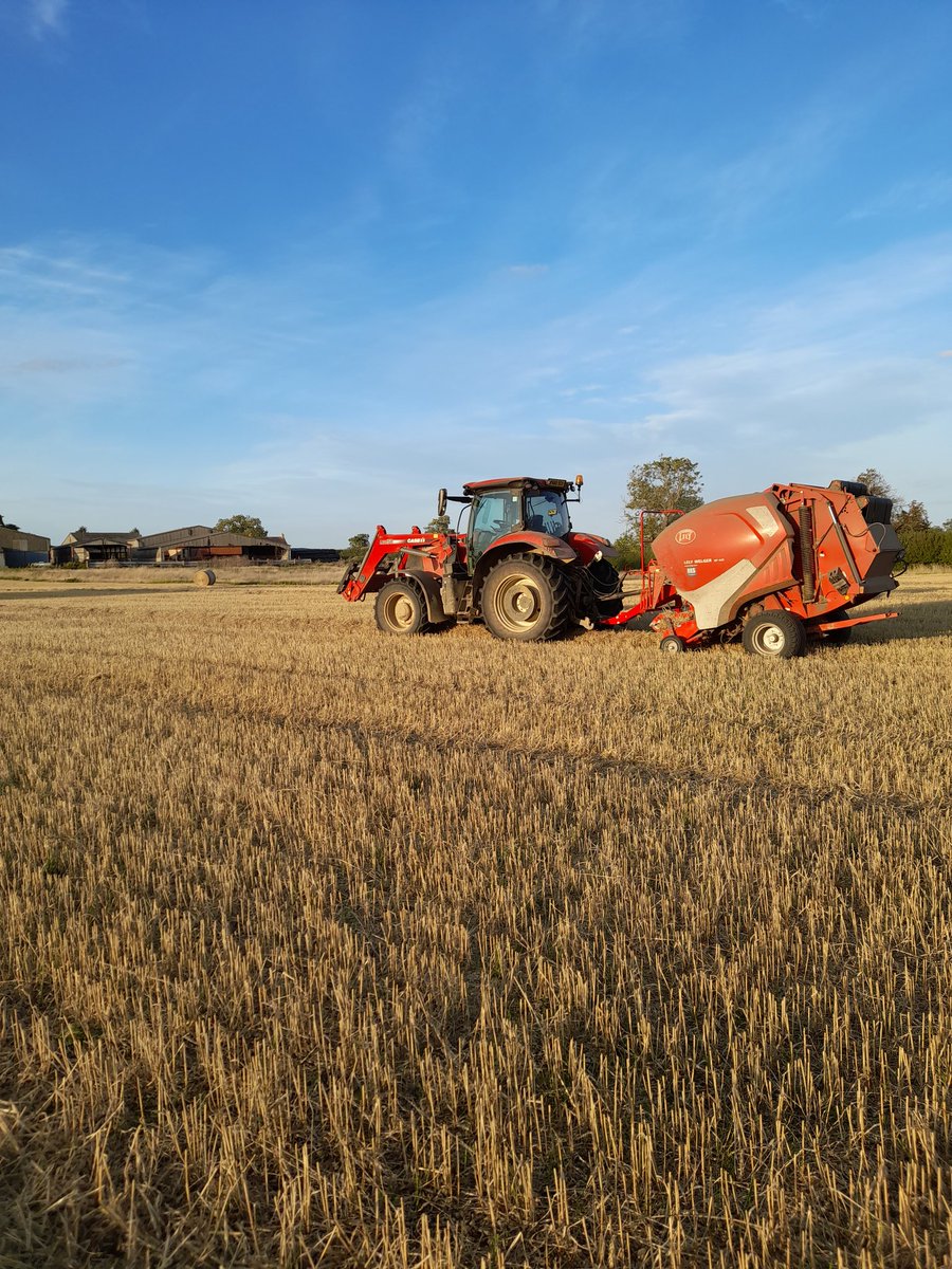 Lmillsy_135's tweet photo. @Tez_Pickthall @Harrygwm @LusticlePorter Lincolnshire is definitely the best county for placements in my opinion Terry & but @Harrygwm would agree that's bias reporting 😉 #ancasterestates #beeswax #blankney #velcourtrutland etc p.s. who says it's all flat fen https://t.co/7T3YvigR4K