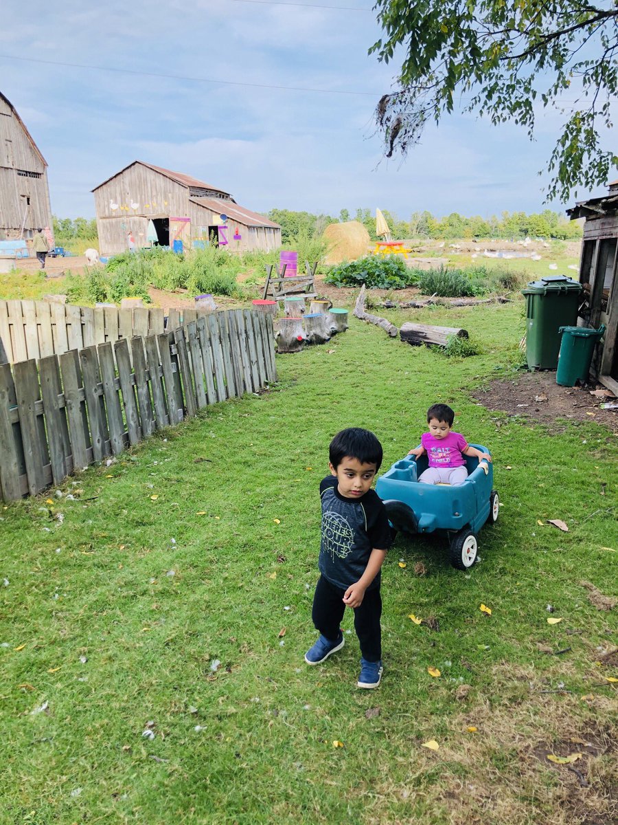 Fun day at Wild Things Petting Farm in <a href="/CityofPickering/">City of Pickering</a> ! All animals roam free and were very friendly especially the goats who love to chew your clothes. Awesome place for kids!