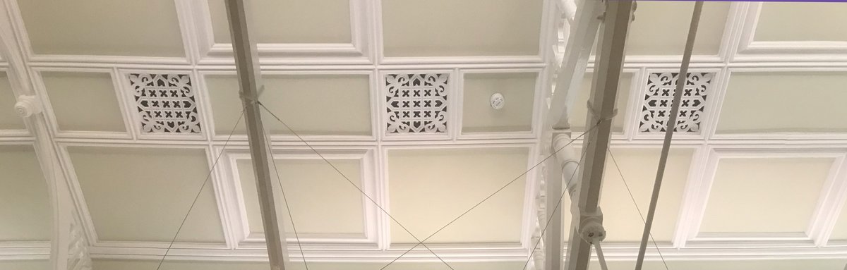 Rosa Straw tweet media