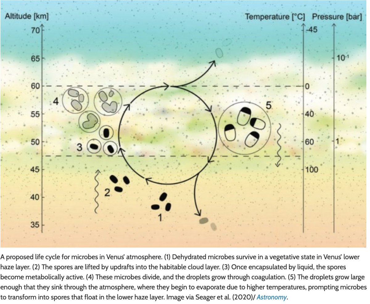FutureJurvetson's tweet photo. The Signature of👽𝗟𝗶𝗳𝗲 𝗼𝗻 𝗩𝗲𝗻𝘂𝘀
"If the scientists are right, then it is one of the most amazing discoveries in history. How amazing would it be to know that we had neighbors on the closest planet to Earth all this time?"
From Monday's news: https://t.co/lAu2XPCWvQ https://t.co/rLaB75KHEe