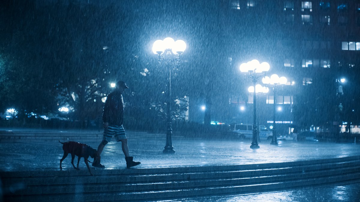 dave_krugman's tweet photo. Photographs of New York in the rain last week https://t.co/vzmoH0hFSV