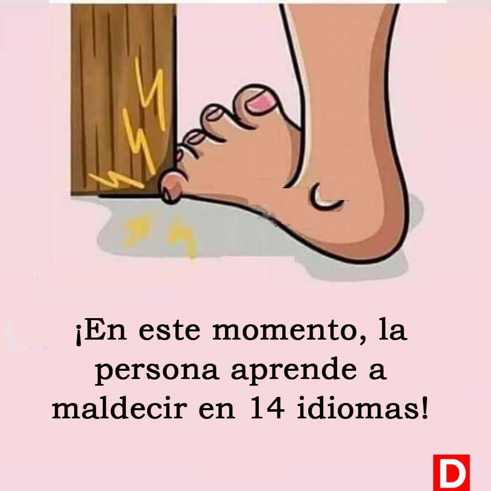 MaIsabel2026's tweet photo. Yo con #cagonlaputa me apaño https://t.co/p7EYvNoIyo