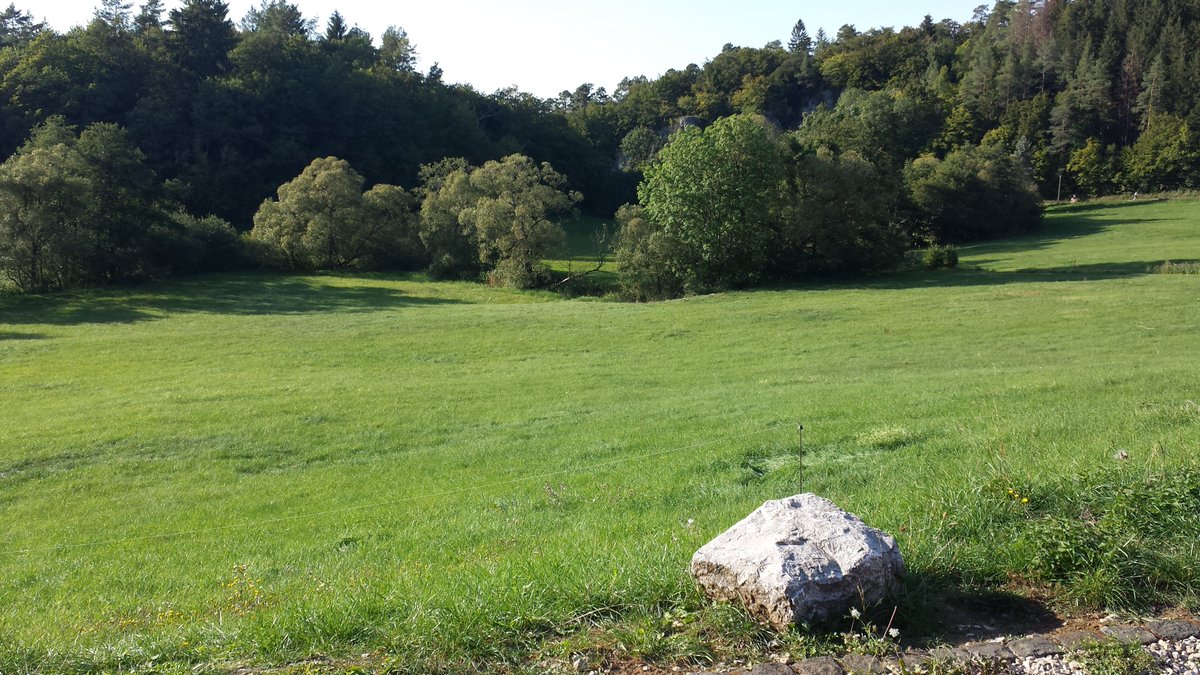 Tiervermittlung's tweet photo. Eindrücke aus der #Eifel.
#Wasserfall #Dreimühlen #Ausflug #Nohn https://t.co/T98FwPLVy6