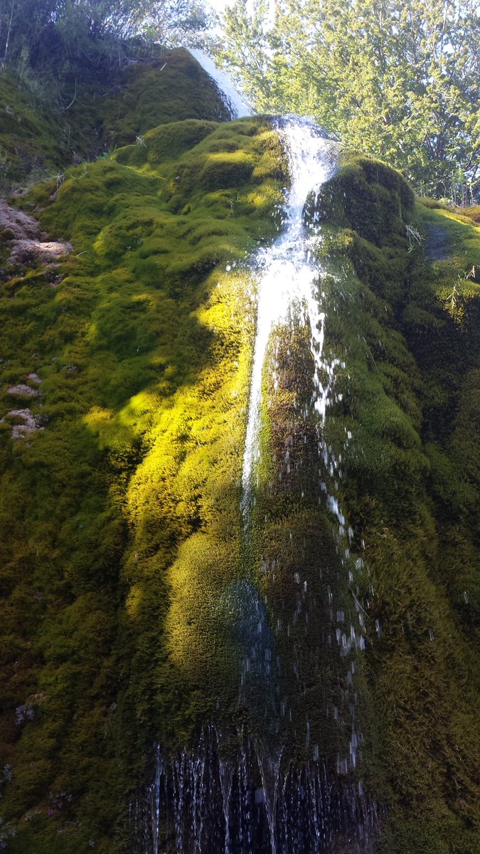 Tiervermittlung's tweet photo. Eindrücke aus der #Eifel.
#Wasserfall #Dreimühlen #Ausflug #Nohn https://t.co/T98FwPLVy6