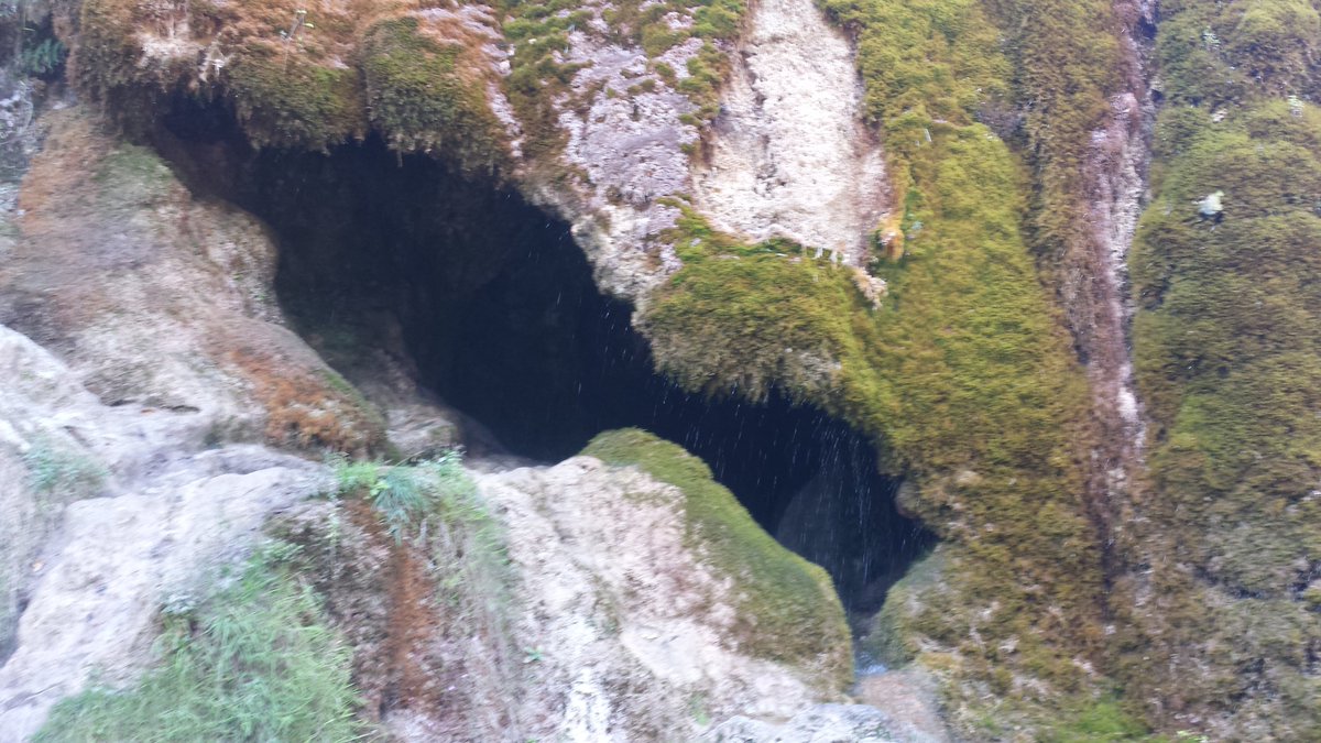 Tiervermittlung's tweet photo. Eindrücke aus der #Eifel.
#Wasserfall #Dreimühlen #Ausflug #Nohn https://t.co/T98FwPLVy6