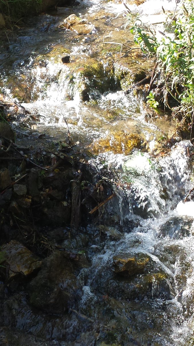 Tiervermittlung's tweet photo. Eindrücke aus der #Eifel.
#Wasserfall #Dreimühlen #Ausflug #Nohn https://t.co/T98FwPLVy6