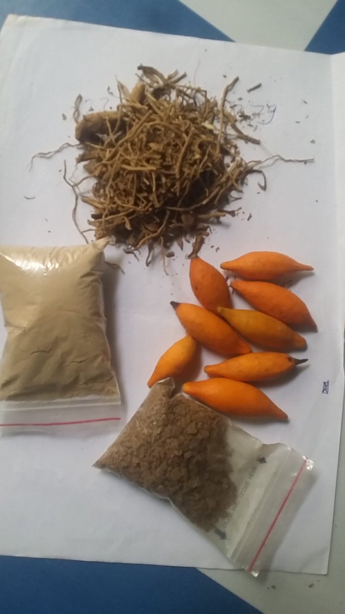 MiguelBalack1's tweet photo. With Ibogaine, we can help you put an end to all addictions troubling you. Open up and save lives.. https://t.co/Vn9Auxgpzg