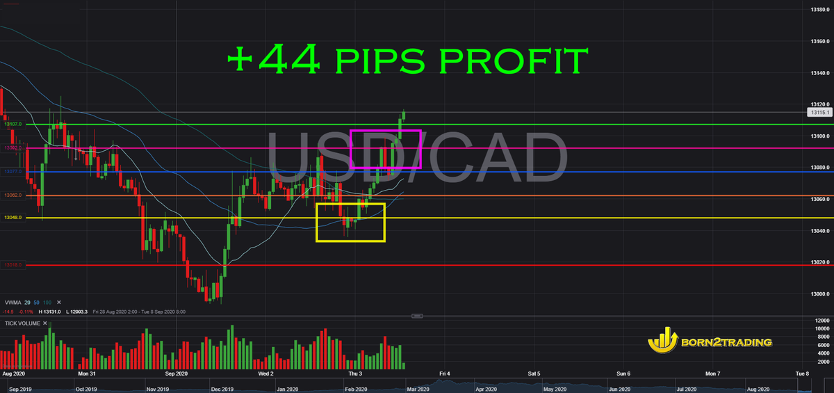 Born2trading Born2trading Twitter