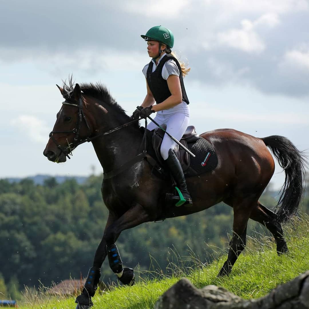 Alexa Palmer tweet media