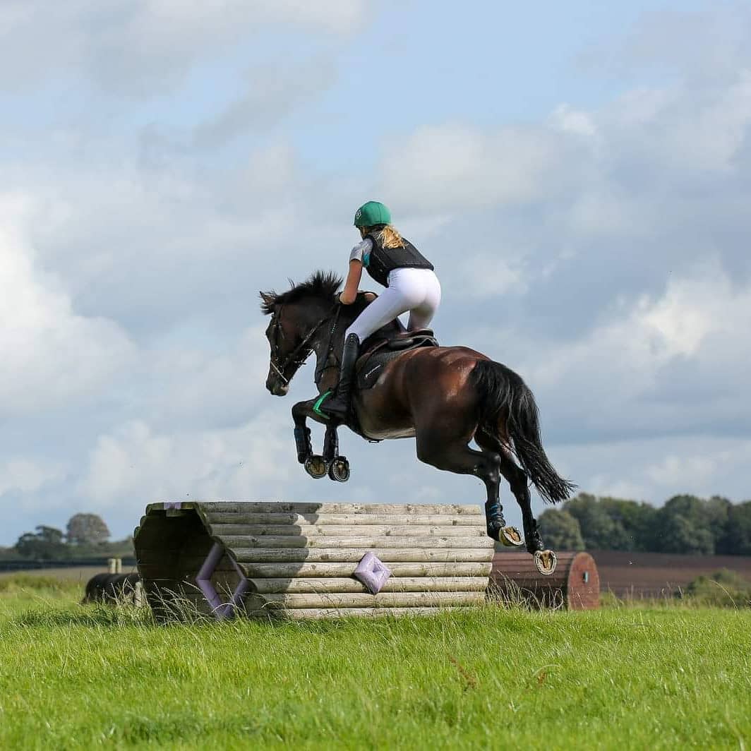 Alexa Palmer tweet media