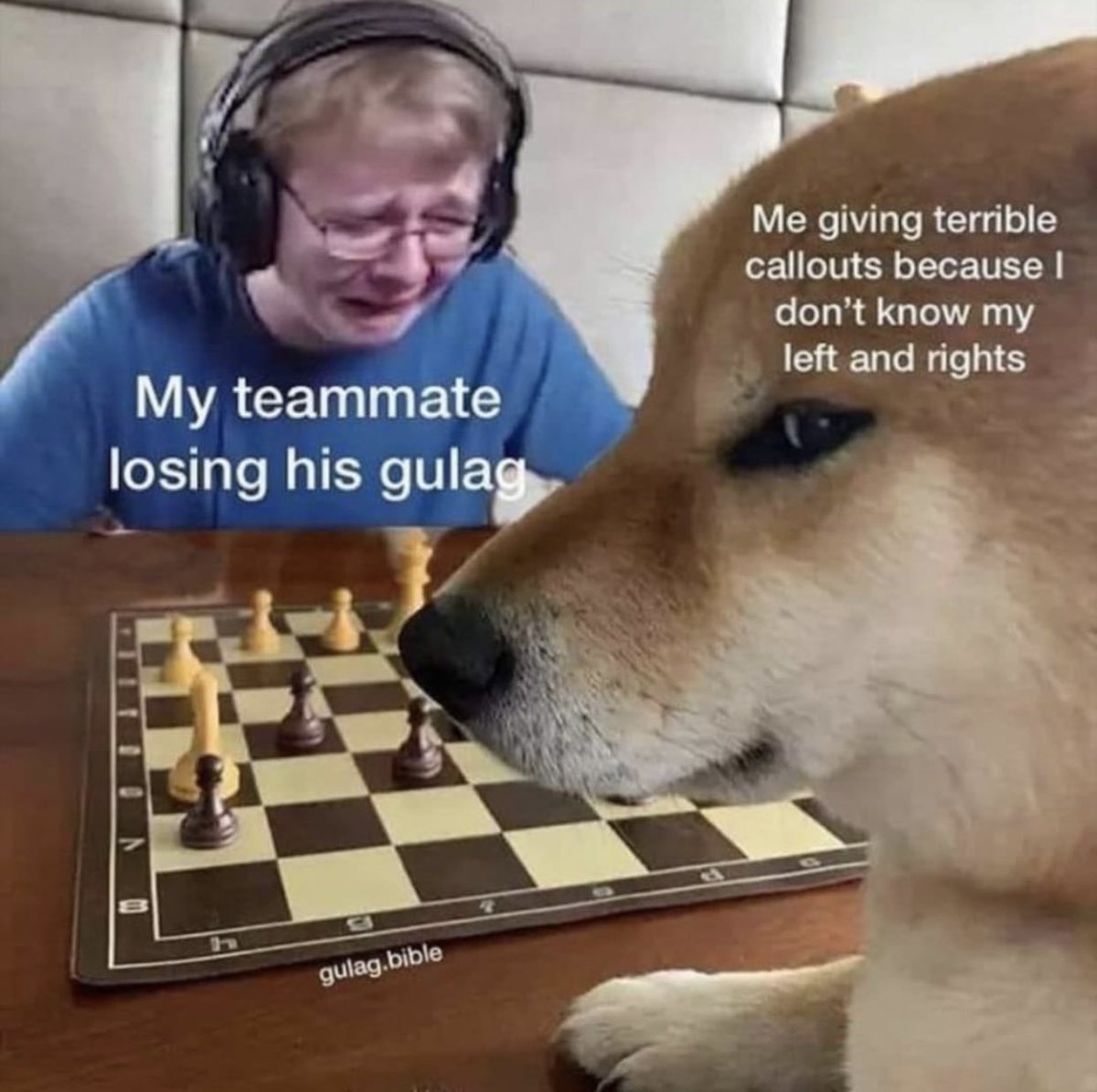 warzone.io tweet media