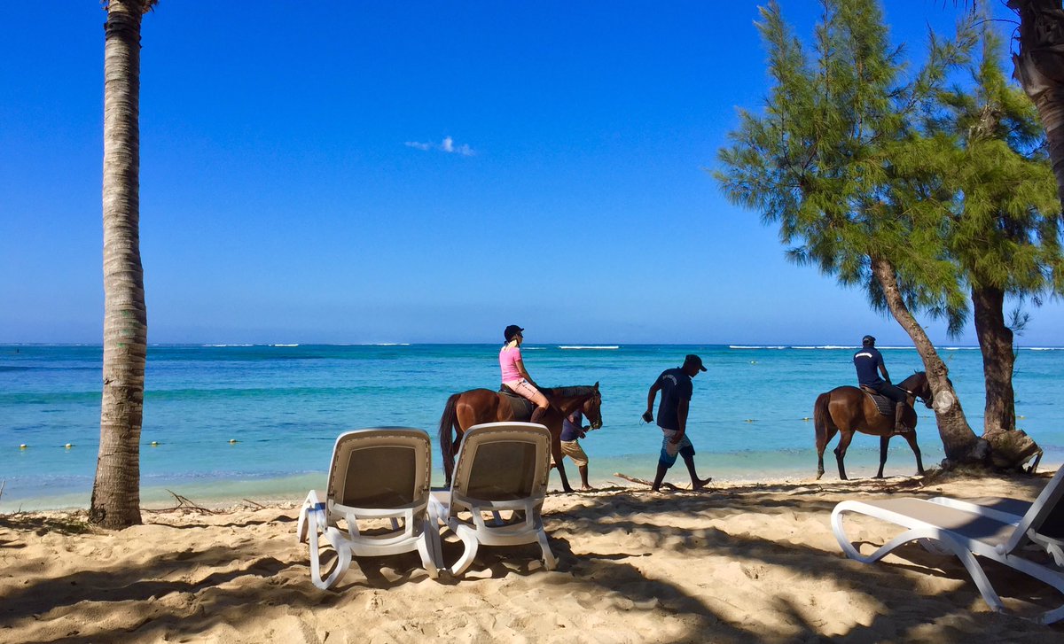 worldlytrekker's tweet photo. @HeidiSiefkas @CharlesMcCool @LoriMoreno @LisaRivera2207 @suziday123 @Touchse @Giselleinmotion @ChangiAirport @always5star @RoarLoudTravel @DonNadeau @HHLifestyleTrav @PendryHotels @LittleItalySD @LiveaMemory @lizzie_hubbard2 @SashaEats @RickGriffin @RedWineCats @RoadtripC @DemiCassiani @SteveKubota @journiesofalife @JetsettersFlyin @LindaPeters64 @Coolmon2009 @RiouxJacqueline @CattMcCreary @forkmespoonme @Adventuringgal @LoveThatYacht @DivaVinophile @winetraveleats @GrantonGranton @OmniHotels @visitphoenix @FunInFairfax @250mainhotel @StKittsTourism @miliman12photos @pip_says @inkscrblr @travelling_mom @RossanaWyatt @ruralmoms @SonjaSwissLife @DoroLef @DarleyNewman @eatlivestay @visitlauderdale #Top4Theme of #Top4Chairs 🤣🤣 ok so here are mine:
↖️ beach chairs #DelrayBeach 🇺🇸
↗️ beach chairs #Mauritius 🇲🇺
↙️ tree chairs #Seychelles 🇸🇨
↘️ safari breakfast #Tanzania 🇹🇿
#traveltribe #tribe https://t.co/gvQ7UXASrD