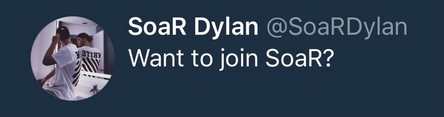 Dylan tweet media