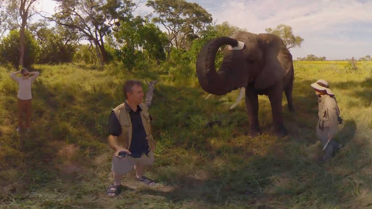 welcome to elephantlandhope you enjoy your stay