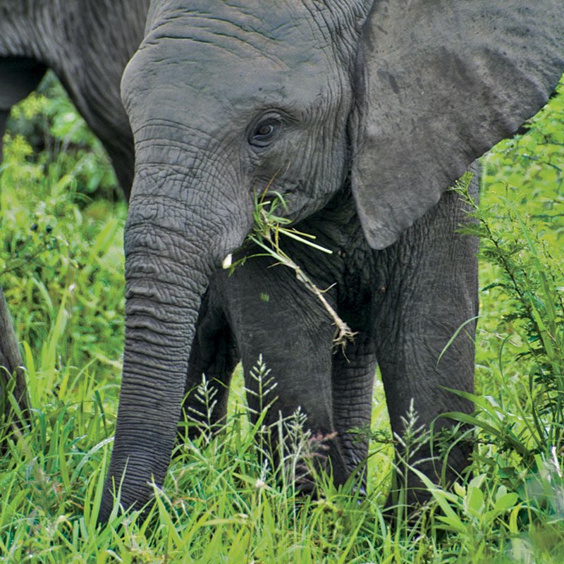 gettin’ their nutrition 