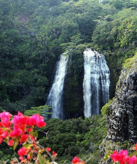 thehawaiianbox's tweet photo. Sometimes, in life, you just need to take the scenic route 🌿
#life #lifeinspo #lifequote #hawaiilife #hawaiiansunset #hawaiianstyle #hawaiianvacation #hawaiisbestphotos #shopsmallhawaii #hawaiiliving #hawaiitrip #hawaiigram
https://t.co/R0Hv9cNJJI