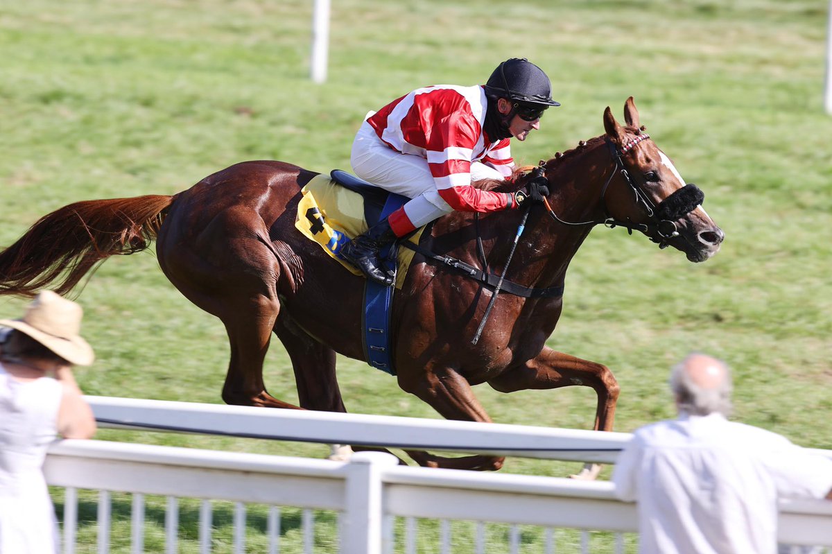 Galopprennbahn Baden-Baden · Iffezheim tweet media
