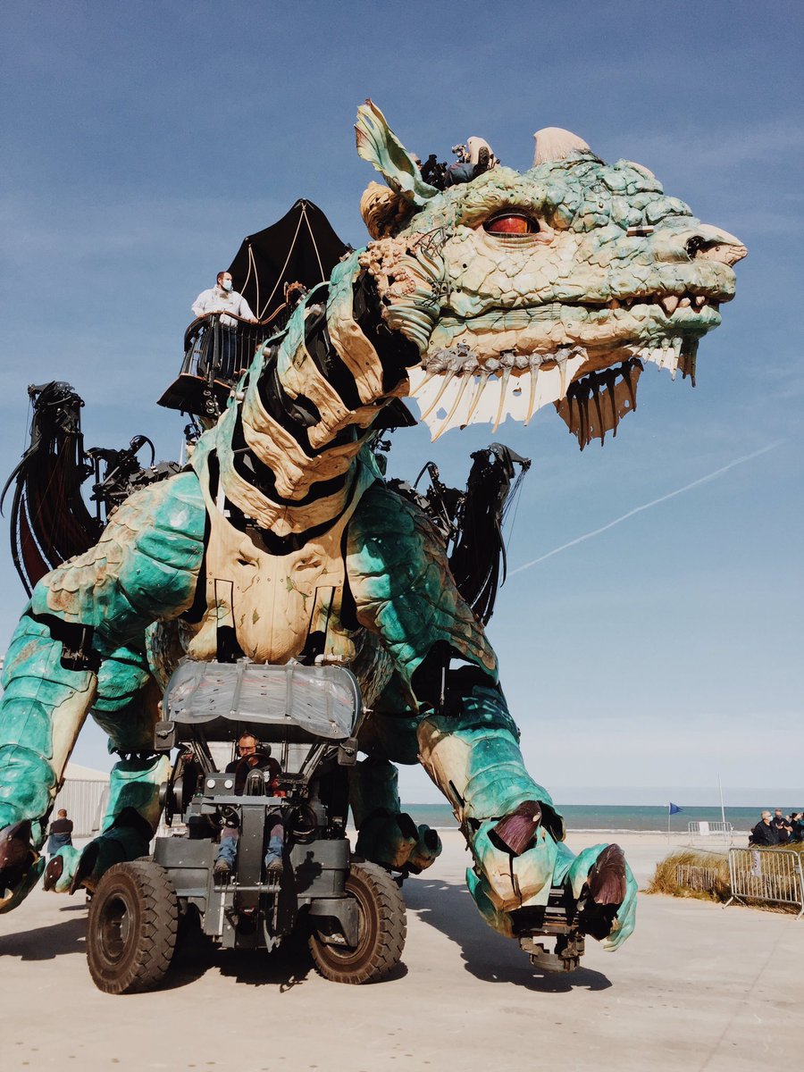 HappyUsBook's tweet photo. Petite escapade à dos de dragon ✌🏻😂💪🏻 @CompagnieDragon 🐉 https://t.co/Bg13PFkfFx