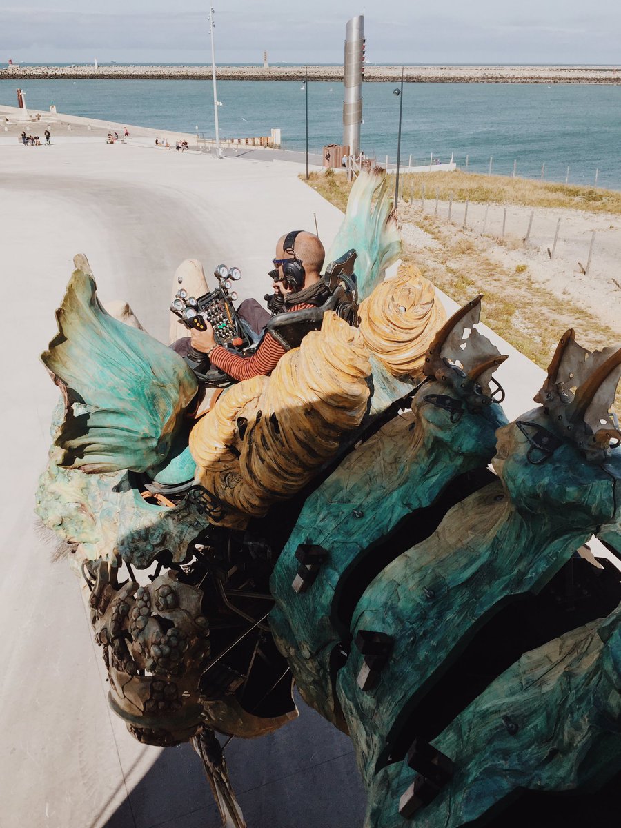 HappyUsBook's tweet photo. Petite escapade à dos de dragon ✌🏻😂💪🏻 @CompagnieDragon 🐉 https://t.co/Bg13PFkfFx